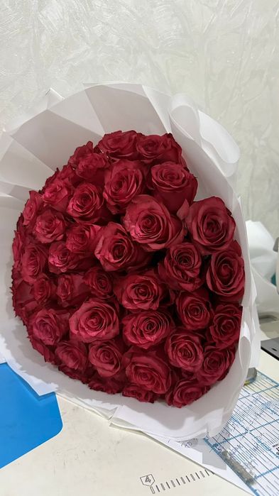 Цветы красные розы