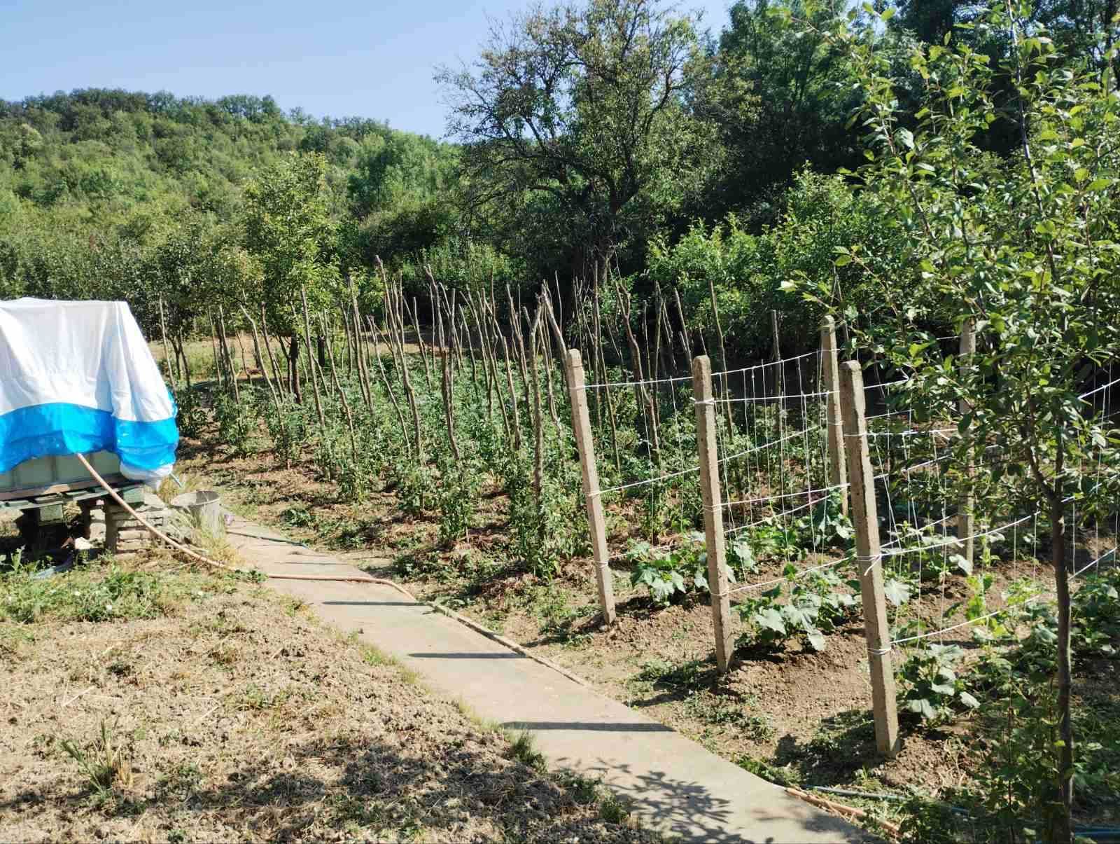 Продавам вила в с. Ново Янково