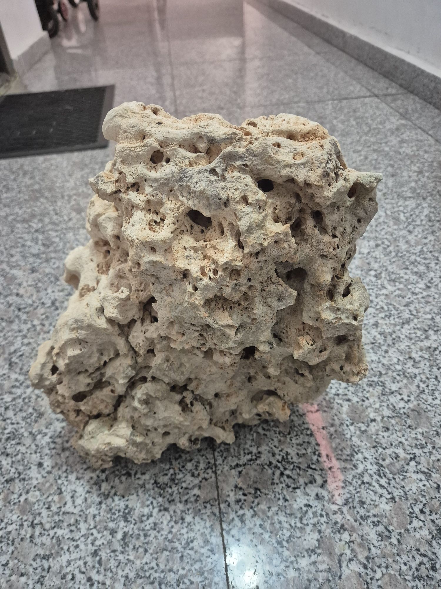 Piatra decorativa acvariu