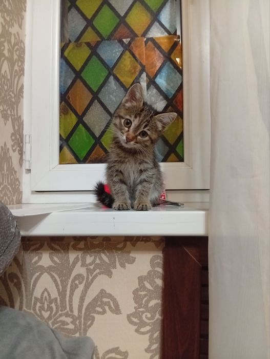 Нежная девочка, в хорошие ручки