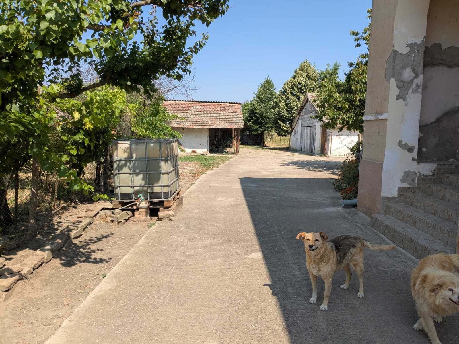 Cînd casă în localitatea Nerău