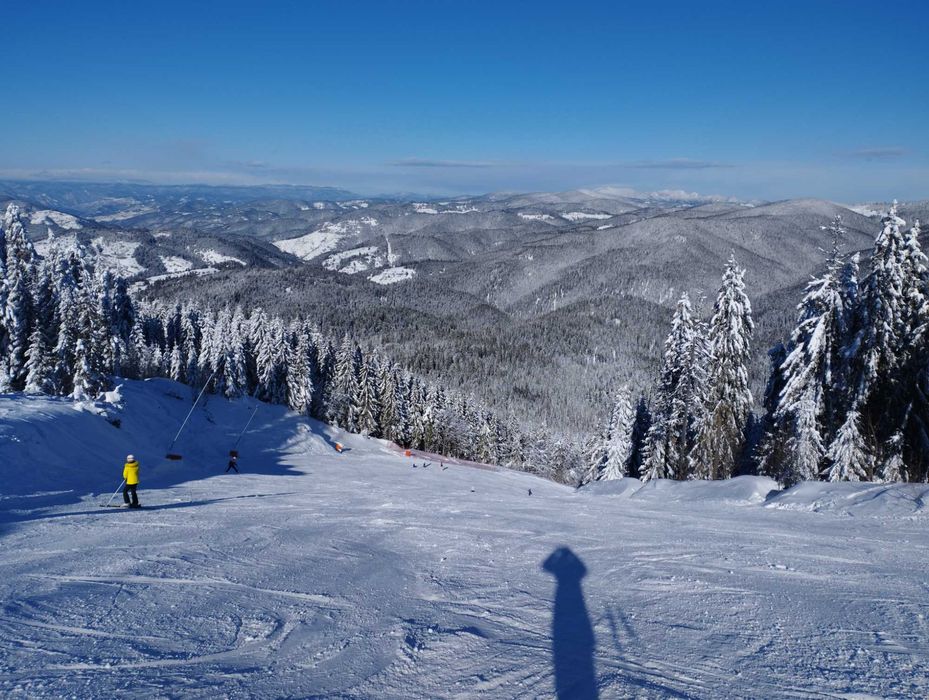 Дава се под наем Едностаен апартамент в София, Люлин - център - 42 кв.м за 76.5 € - Снимка #4