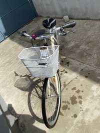 Bicicleta Dama Mustang