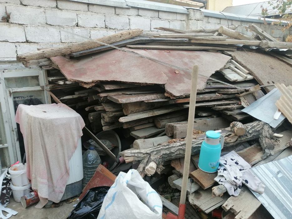 Daxta eski yogʻochlar