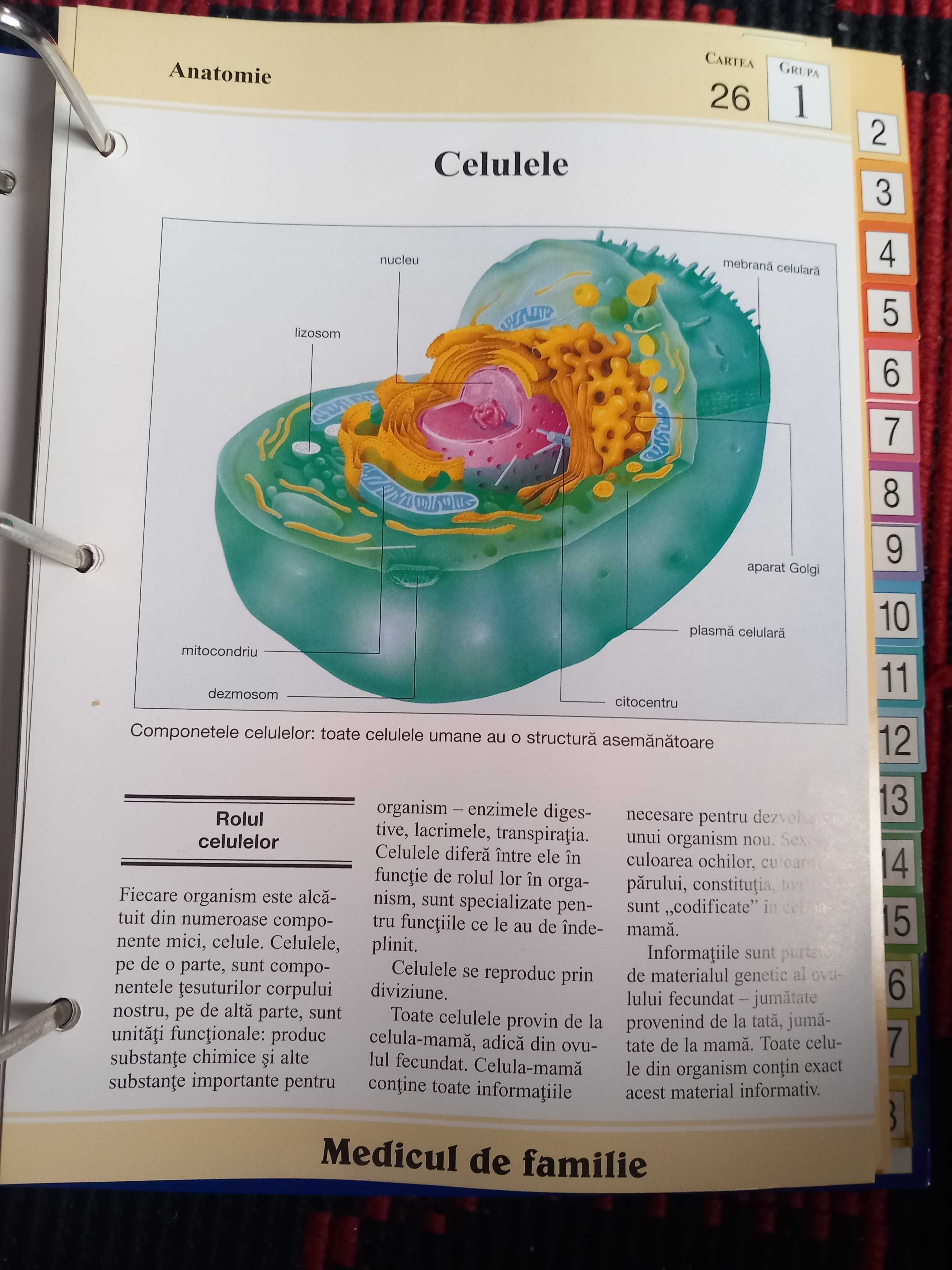 Bibliograf "Enciclopedia Sanatatii" medicul de familie,18 grupe,nou