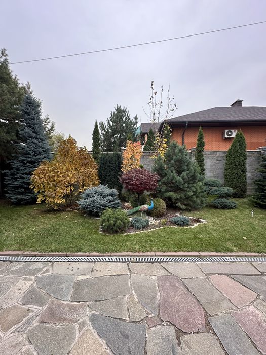 Осенний опрыскивание деревьев