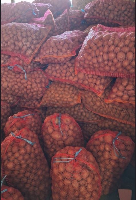 Cartofi pentu animale