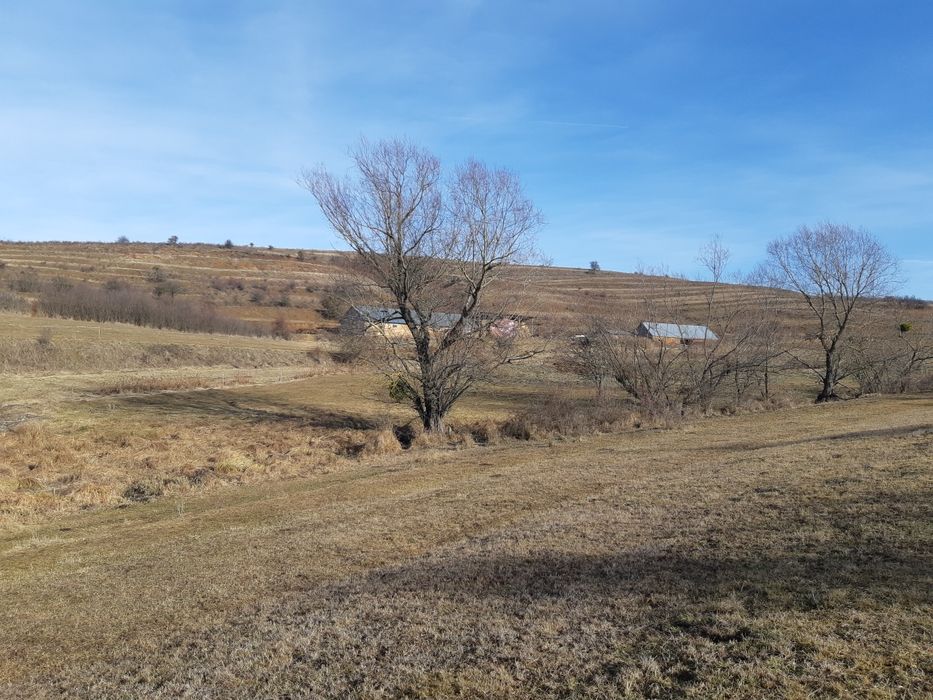Teren extravilan