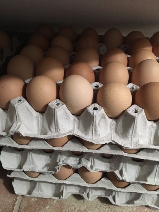 Oua de casa, oua de casa