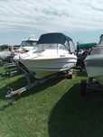 Jeaneau 545 / Tohatsu 140