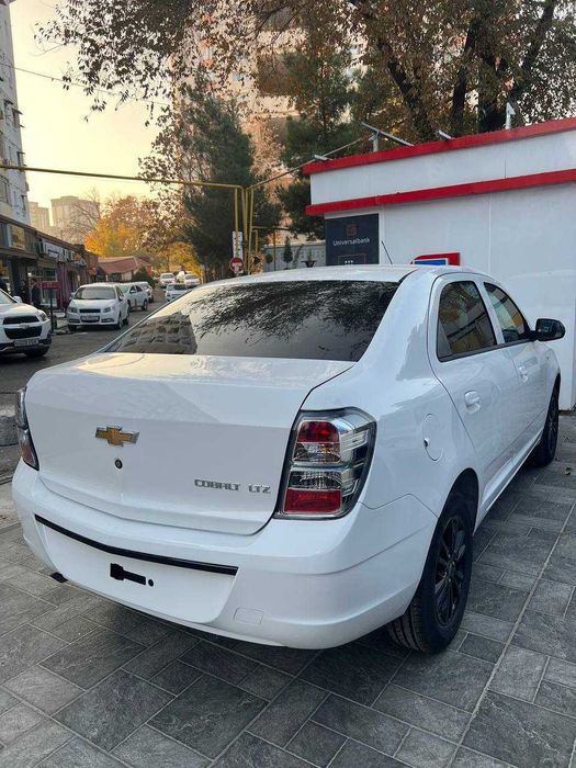 Cobalt 2026 Midnight