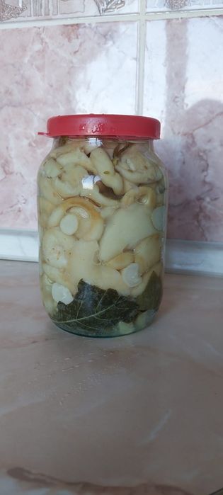 Продам грибы солёные грузди и валуи