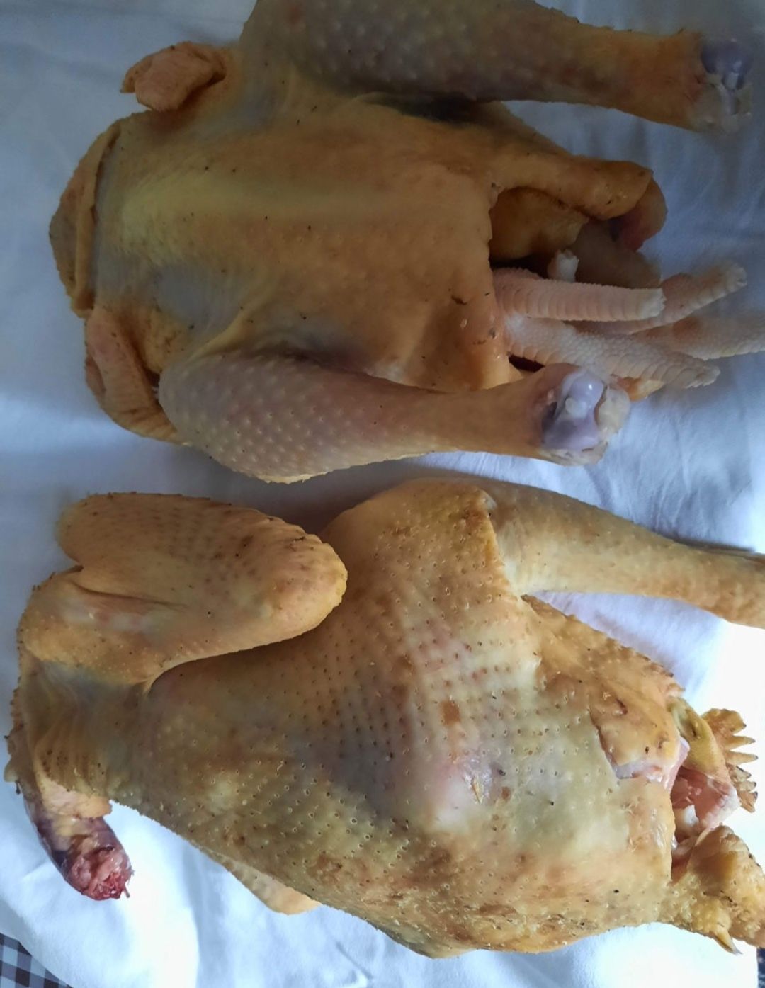 Gaini, pui, cocoși, curcani proaspeți, crescuți natural