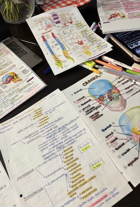 Notite admitere medicina biologie Corint in format PDF