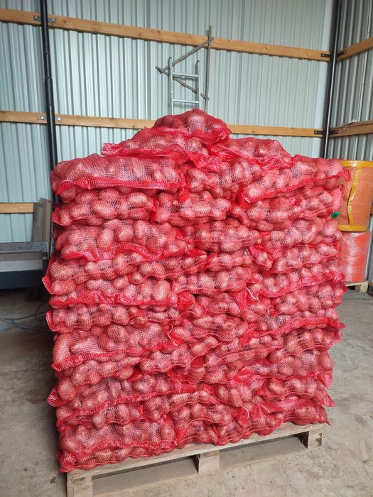 Cartofi pentru consum