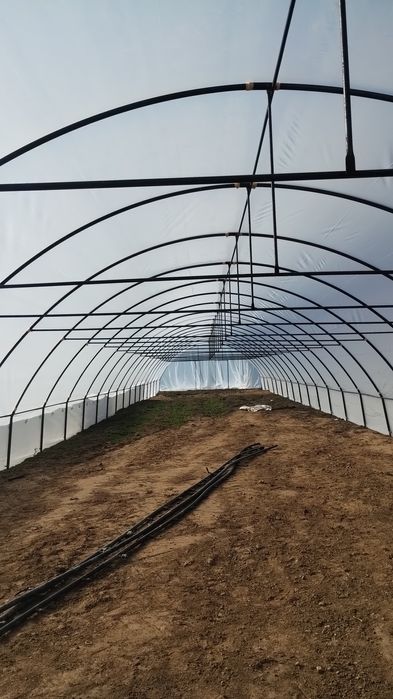 Sere și solarii ieftine complete