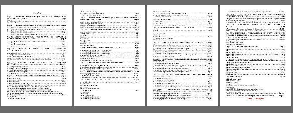Manual alimentatie Publica si Turism
