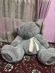 Teddy  sotiladi yangi holati