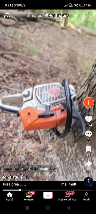 Tai lemne cu drujba la domiciliu