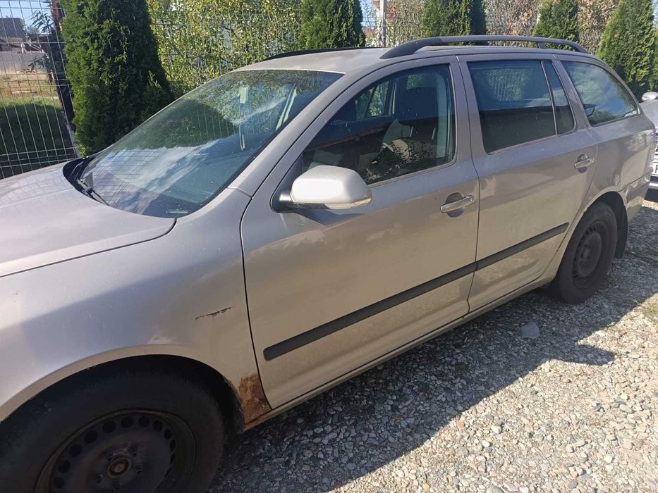 Vand Skoda Octavia 2006 1.9 TDI defect