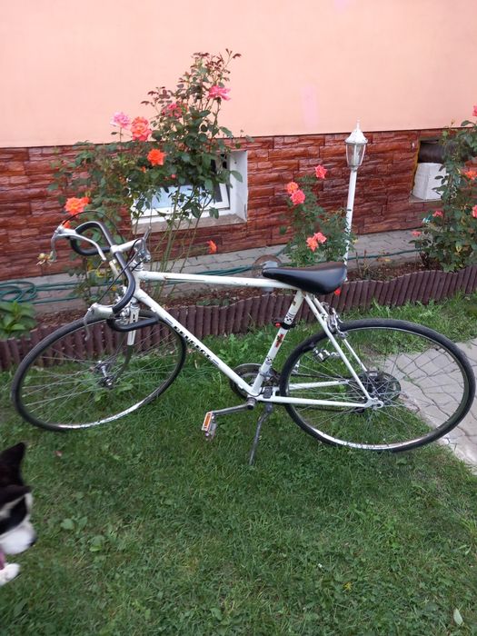 Bicicleta semicursieră  vintigi