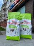 Сухой корм для собак миниатюрных пород Royal Canin x-small adult