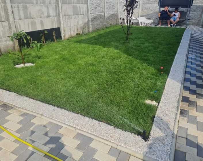 Gazon Rulou Sport premium