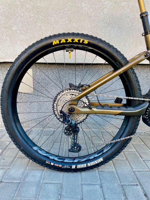 Orbea Wild Bosch Race motor