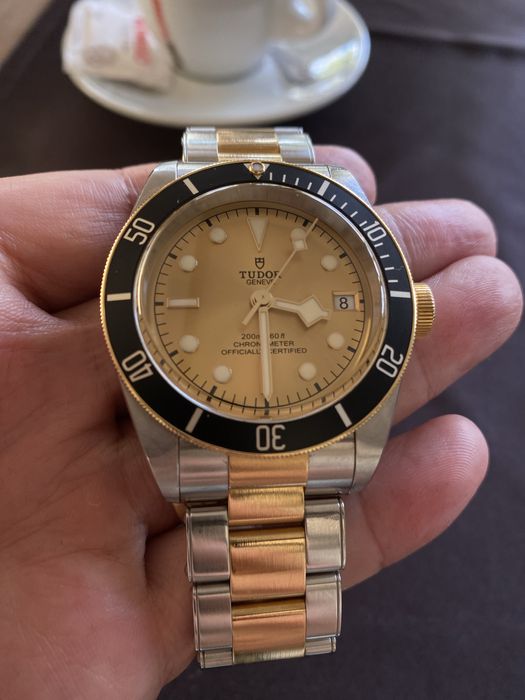 Tudor Black Bay aur/otel