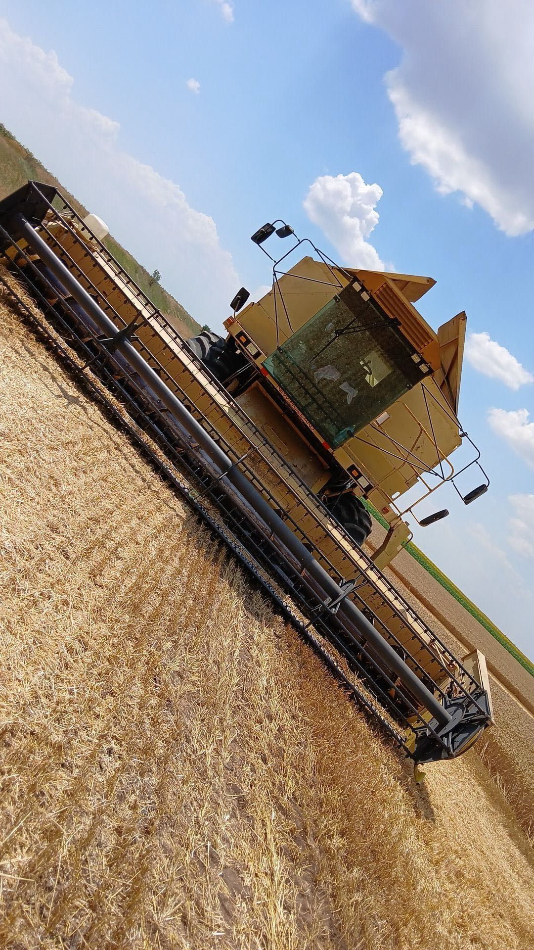 New Holland TF46