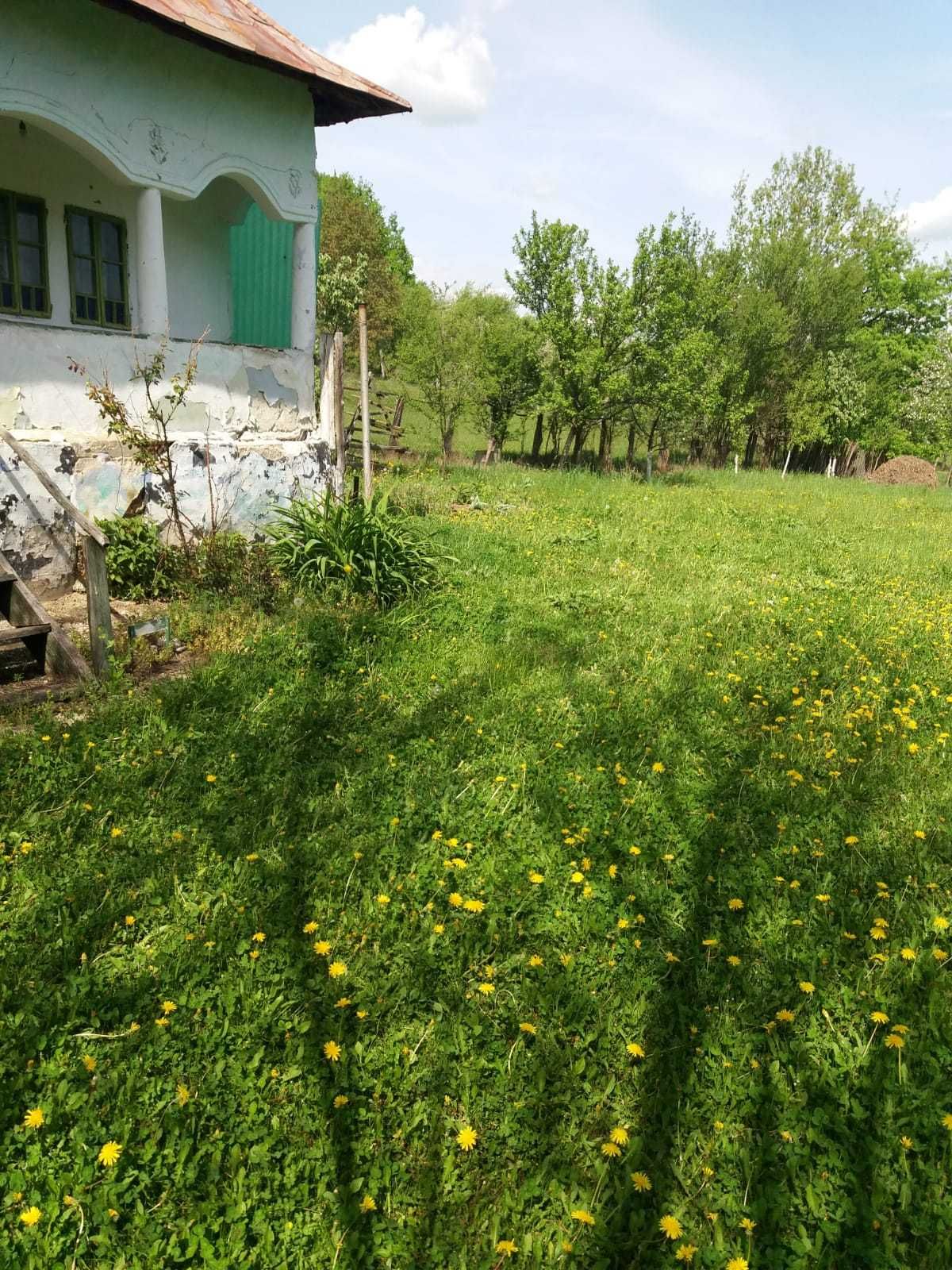 Teren vanzare 2000mp intravilan Poienita/Bălilești, Arges langa padure