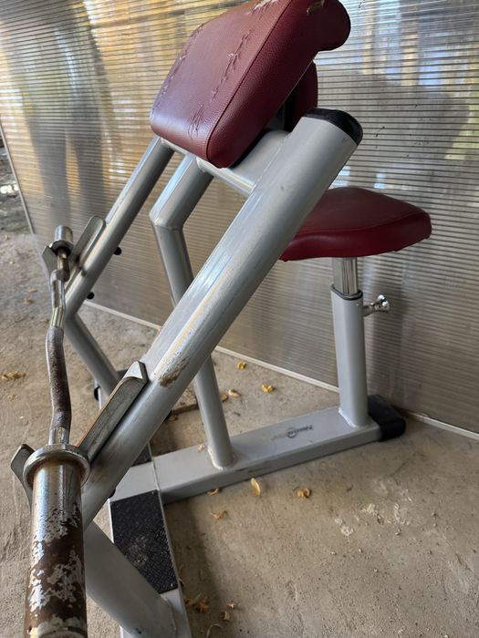 Скотова пейка за бицепс