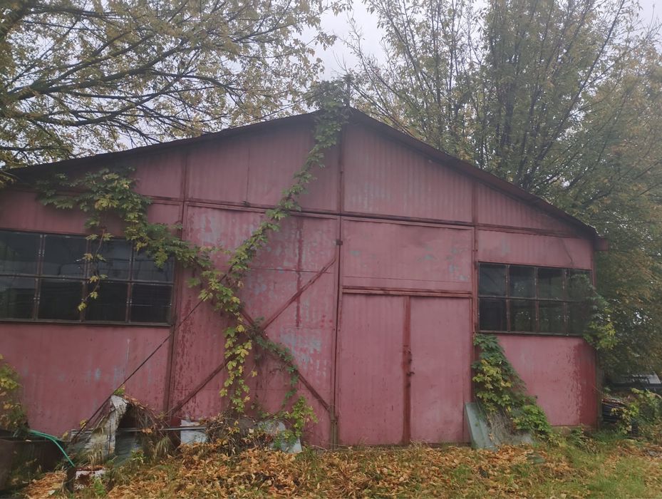 Vând sere de sticlă 3800 mp