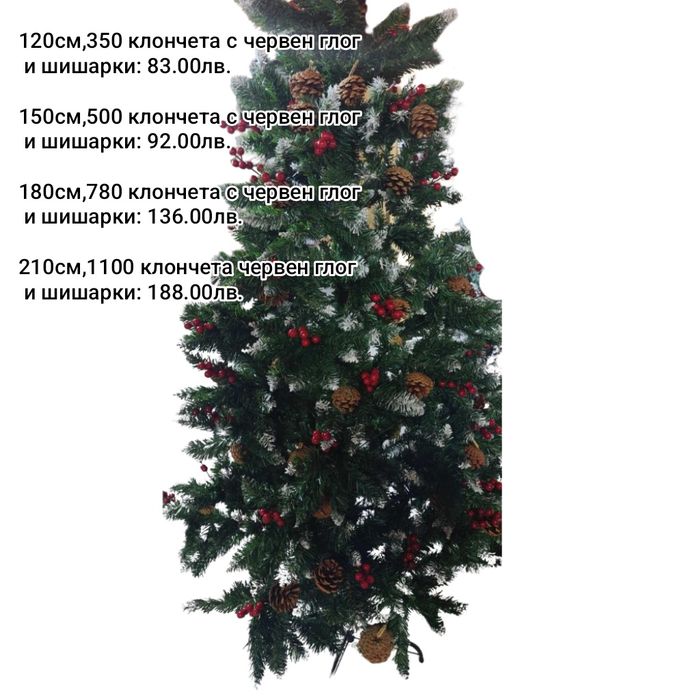 Коледни елхи на ниски цени