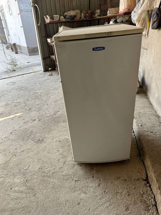 Халаделник Брюса Россия