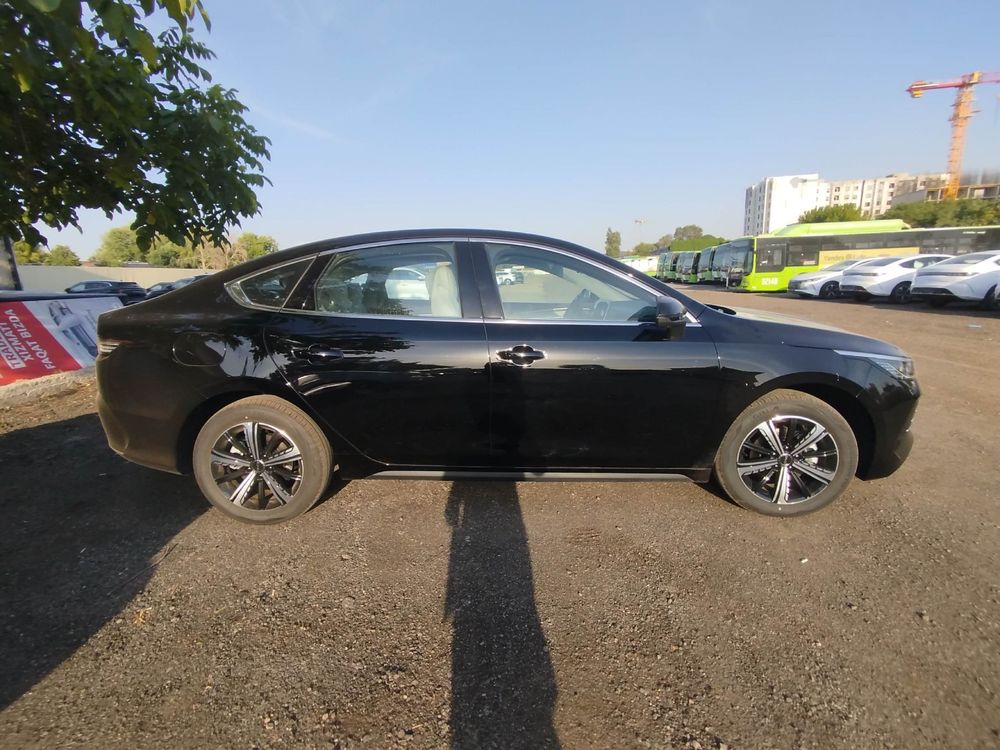 BYD в рассрочку Белый,черный