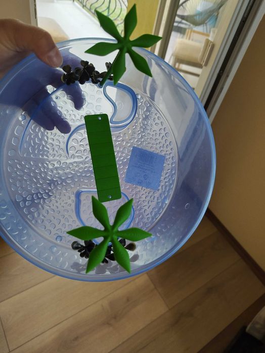 Терариум за костенурки