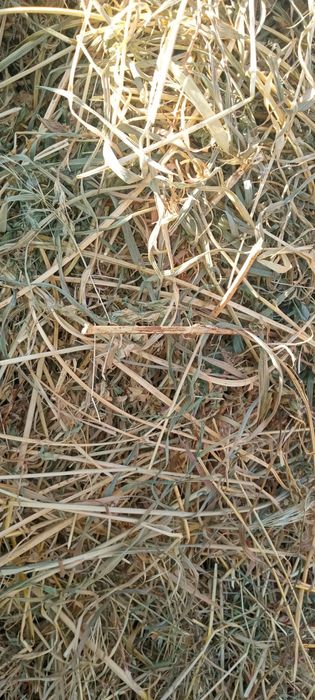 Vând fân amestecat cu lucerna