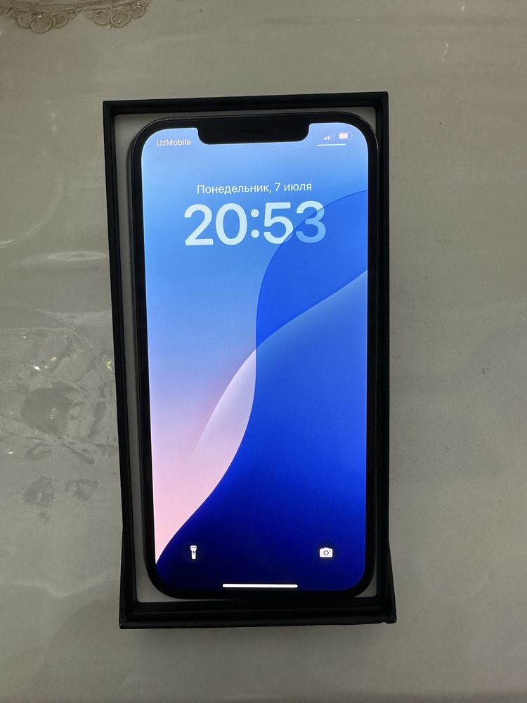Iphone 12 pro max karobka dakument