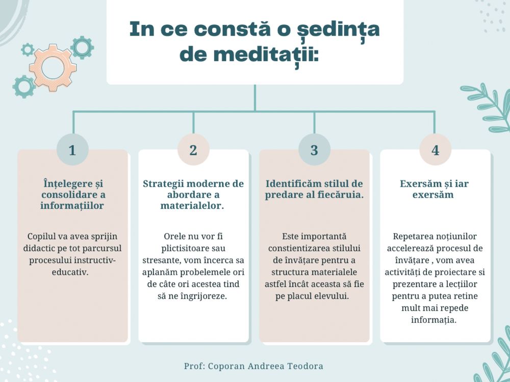 Meditatii Limba Romana/Istorie( BAC , EN , ADMITERE POLIȚIE )