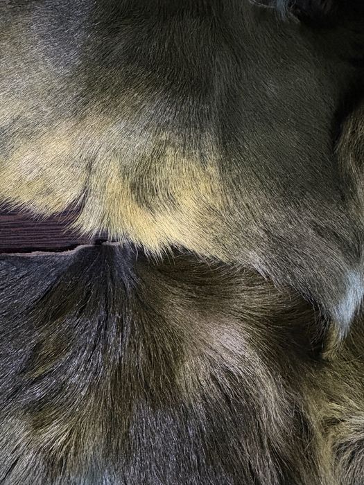 Мех   Натуральный кусочки продам