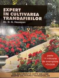 Expert in Cultivarea trandafirilor, de D.G. Hessayon