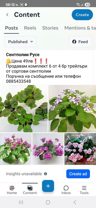 Сортова сентполия