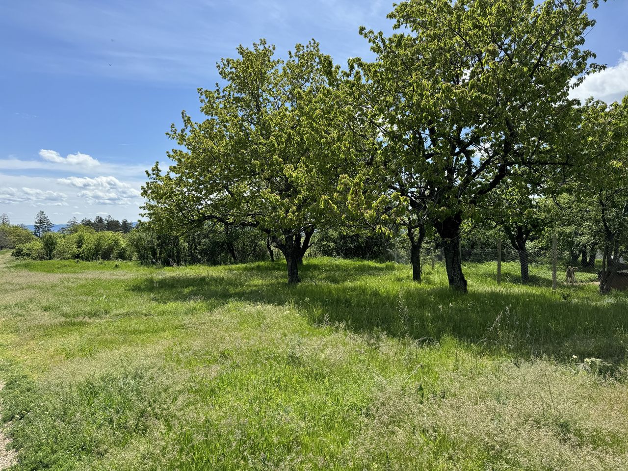 Продава се Парцел в Казанлък - 1600 кв.м за 9 €/кв.м - Снимка #2