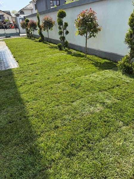 Serviciu de montaj gazon natural si rulou