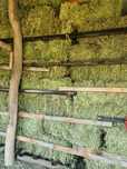 Baloti lucerna coasa 2 peste 20 kg