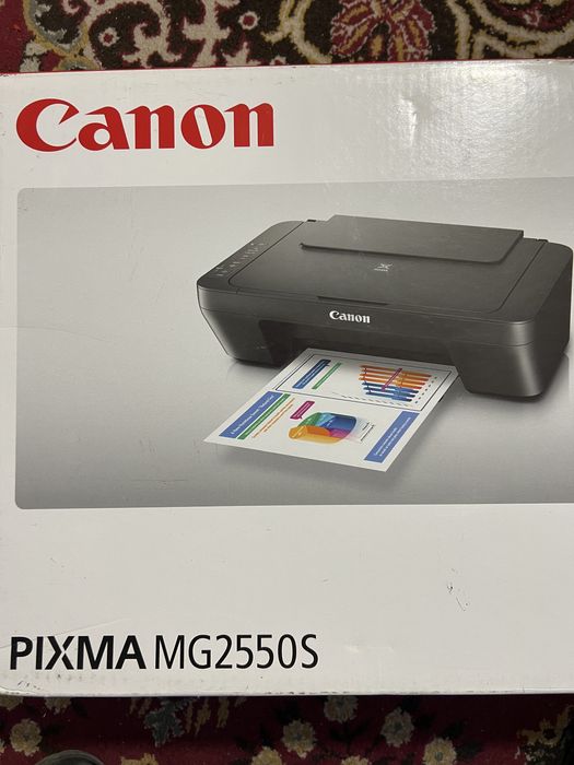 Принтер canon pixma mg2550s