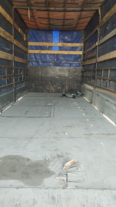 Tentli kuzaf sotiladi..!