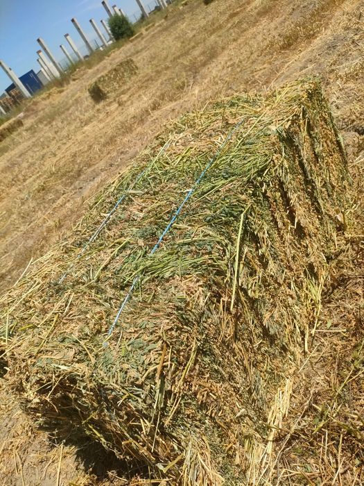 De vânzare baloți de fân, lucernă ! Se asigura transport!