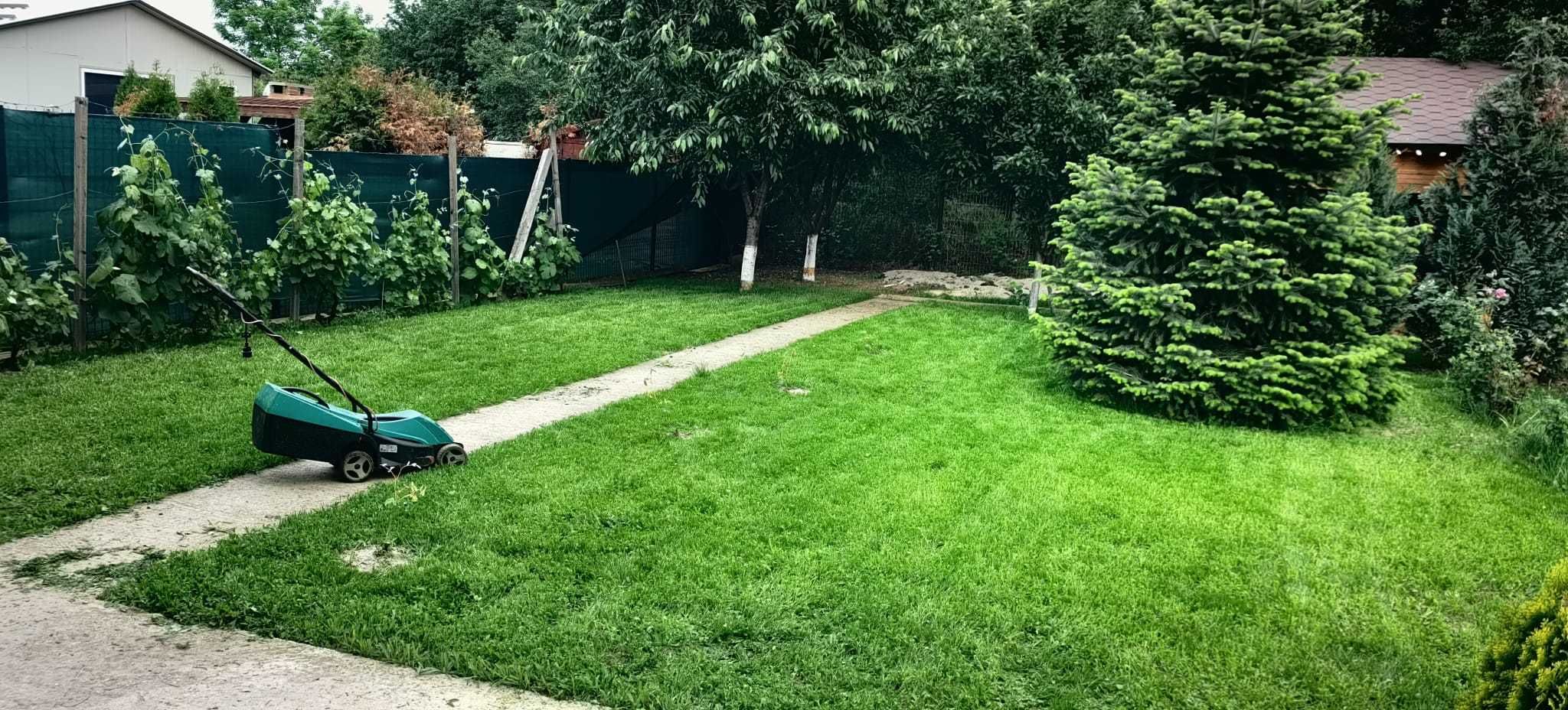 Amenajez gradini, plantare gazon, întreținere